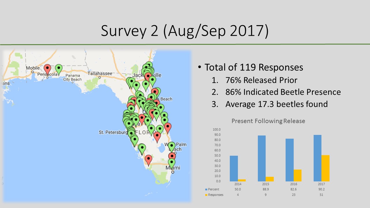 Results from survey 2 on presence of beetles.